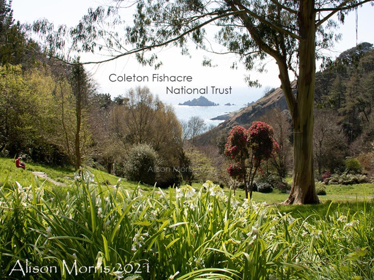 Dart Haven - Cheerful Holiday Bungalow In Galmpton מראה חיצוני תמונה
